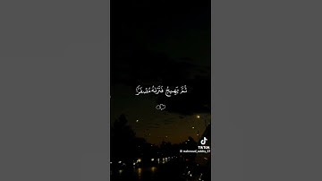 سورة الحجتلاوة خاشعة للشيخ ماهر المعيقلي#قران #قران_كريم #راحة_نفسية#تلاوة_خاشعة #ماهرالمعيقلي