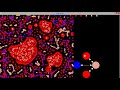 "Heartbeats & Blood Flow" : Primordial Particle System