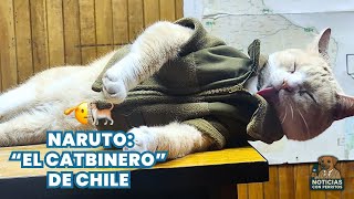 Gao Callejero Se Convierte En Carabinero De Chile