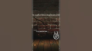 حالات واتس اب حزينة من القران الكريم بصوت القارئ عمر محجوب