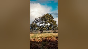 وآتاكم من كل ما سألتموه... مقطع من سورة إبراهيم للقارئ الشيخ محمد صديق المنشاوي||حالات واتس