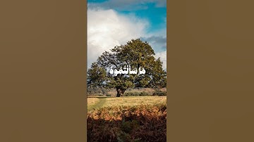 وآتاكم من كل ما سألتموه... مقطع من سورة إبراهيم للقارئ الشيخ محمد صديق المنشاوي||حالات واتس