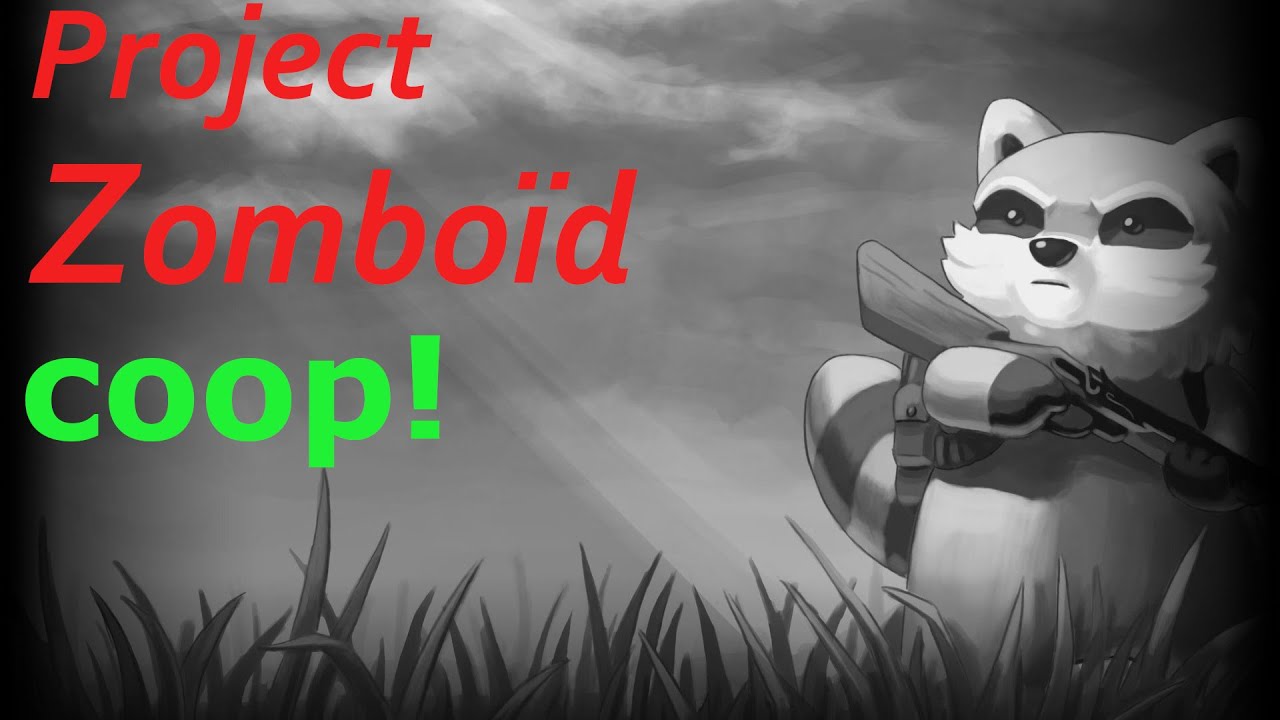 Is Project Zomboid Coop