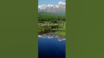 أَلَمْ تَرَى كَيْفَ فَعَلَ رَبّكَ بِأَصْحَابِ الْفِيلِ 💚⚘️القران الكريم حالات واتس اب قرآن كريم 🥀⚘️