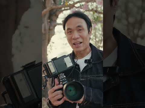 สร้างระยะหน้าสีชมพู ด้วย FE 85mm F1.4 GM II