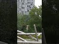 Стойте Куда же вы А поговорить Стойте Куда же вы А поговорить