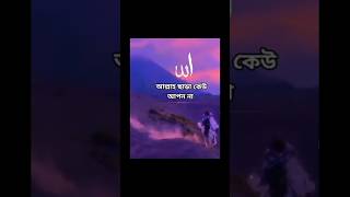 Islamic video shortsfeed islamicstatus vairal islamicvideo islamicshorts