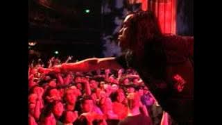 A Box Full Of Sharp Objects