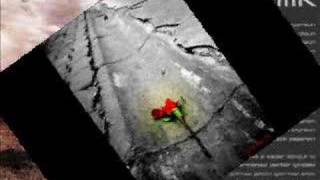 Nihatim - Hadi Git Www.nihatim.de