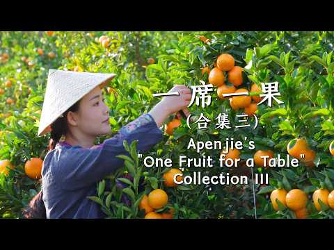 Apenjie’s “One Fruit for a Table” Collection III【滇西小哥】