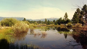 Tahoe Crickets - Korg  MS2000 Synth Loops + Slide Guitar Relaxing Ambient Music