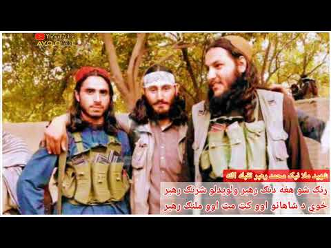 ړنګ شو هغه دنګ رهبر ولويدلو شړنګ رهبر غمجن نظم په ياد کي د شهید ملا نيک محمد رهبرتقبله الله ړنګ شو هغه دنګ رهبر ولويدلو شړنګ رهبر غمجن نظم په ياد کي د شهید ملا نيک محمد رهبرتقبله الله