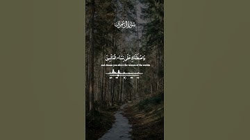 الشيخ سيد سعيد تلاوة خاشعه من سورة آل عمران #قرآن #quran #قران_كريم #تلاوة_خاشعة #qurantilawat #لايك
