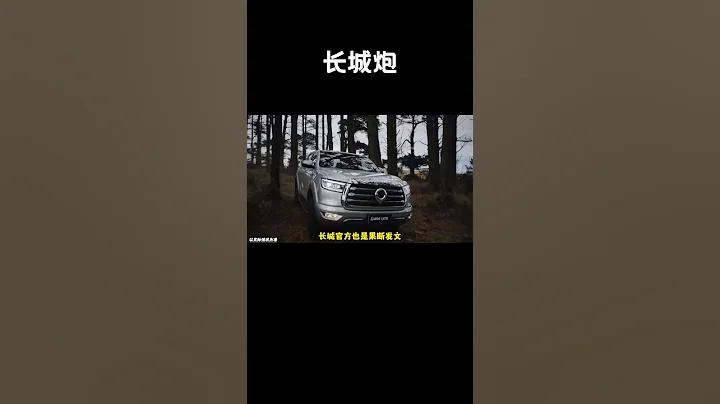 一句“长城～炮”又让长城炮火了#汽车 #科普 #car - 天天要闻