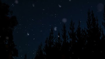 سورة الفرقان للشيخ أحمد بن طالب | Surah Al-Furqan - Sheikh Ahmad bin Talib Humaid