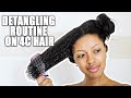 DETAILED DETANGLING ROUTINE ON MY 4C HAIR