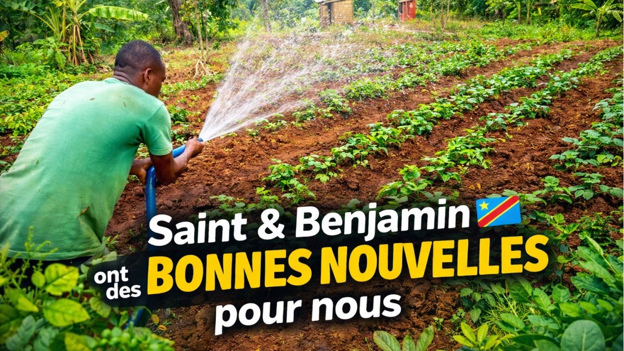 Le repiquage qui redonne espoir à toute la ferme !  Ils ont le sourire… et ça fait du bien ! 🌱🍆🇨🇩