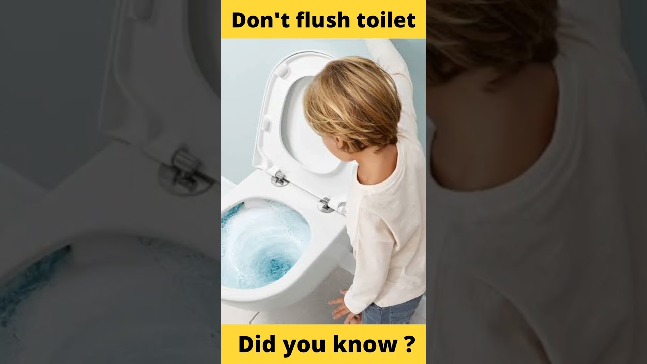 Don't flush toilet in Switzerland shorts hindifacts 5factsfactory 