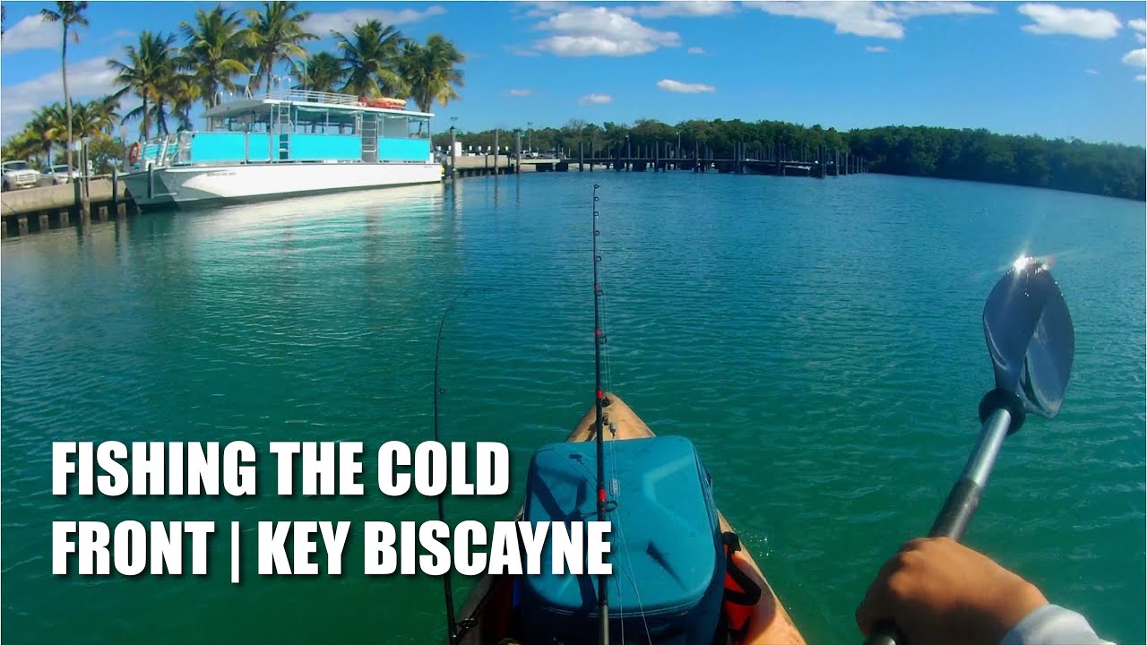 Pool Noodle Roof Rack. Will it hold?