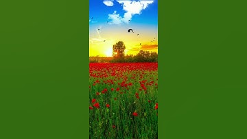 سورة الإنفطار من الآية (١٧) إلي الآية (١٩) بصوت القارئ إسلام صبحي