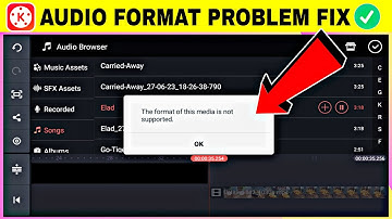 Kinemaster this audio format is not supported problem fix | kinemaster audio format problem solve