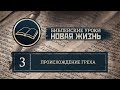 Урок 3 | Происхождение греха