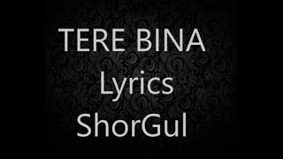 Tere bina Arijit singh's songs lyrics..shorgul movie