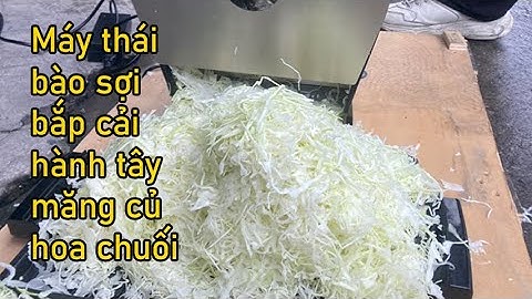 Máy thái bào sợi bắp cải salad, thái măng củ, hoa chuối, củ quả
