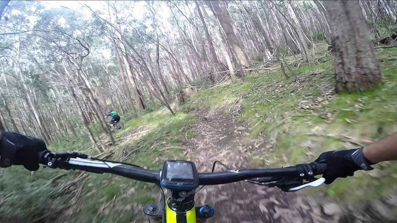 Stonefly descent - Mt Buller