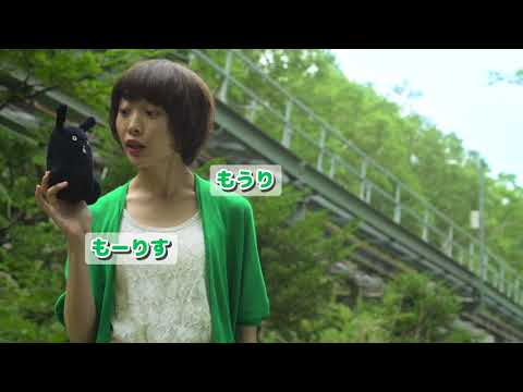 2015フィールドワークＡ「もいわ山のＣＭ」B班もーりすカー篇