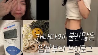  [10-11주] 영주권 X 보험 X 캐나다 임산부의 말많은 영상.  캐나다 의료 이거 괜찮은거 맞아...?