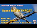 Masteran Murai, Suara Burung BLACKTHROAT Durasi Panjang + Terapi Suara Air Mengalir...FULL HD...!!!