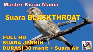 Masteran Murai, Suara Burung BLACKTHROAT Durasi Panjang + Terapi Suara Air Mengalir...FULL HD...!!!