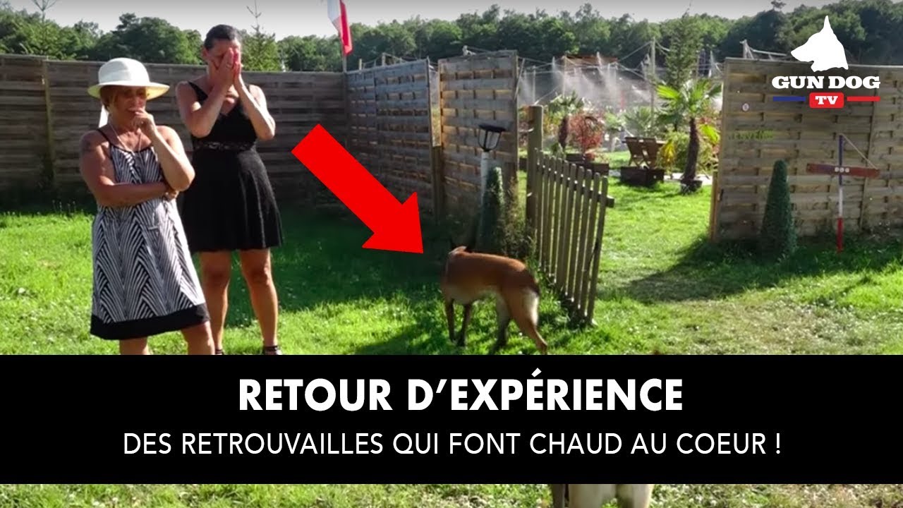 DES RETROUVAILLES QUI FONT CHAUD AU CŒUR dressage arena