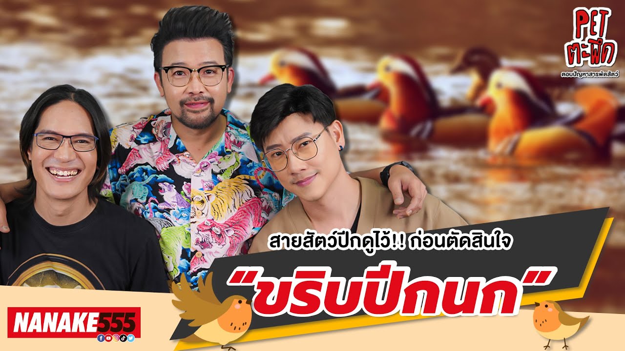สายสัตว์ปีกดูไว้!! ก่อนตัดสินใจ “ขริบปีกนก” | #Petตะพึด