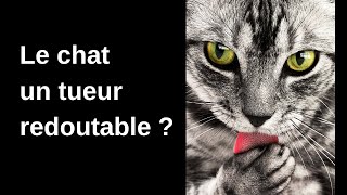 Le chat menacetil la biodiversité ?