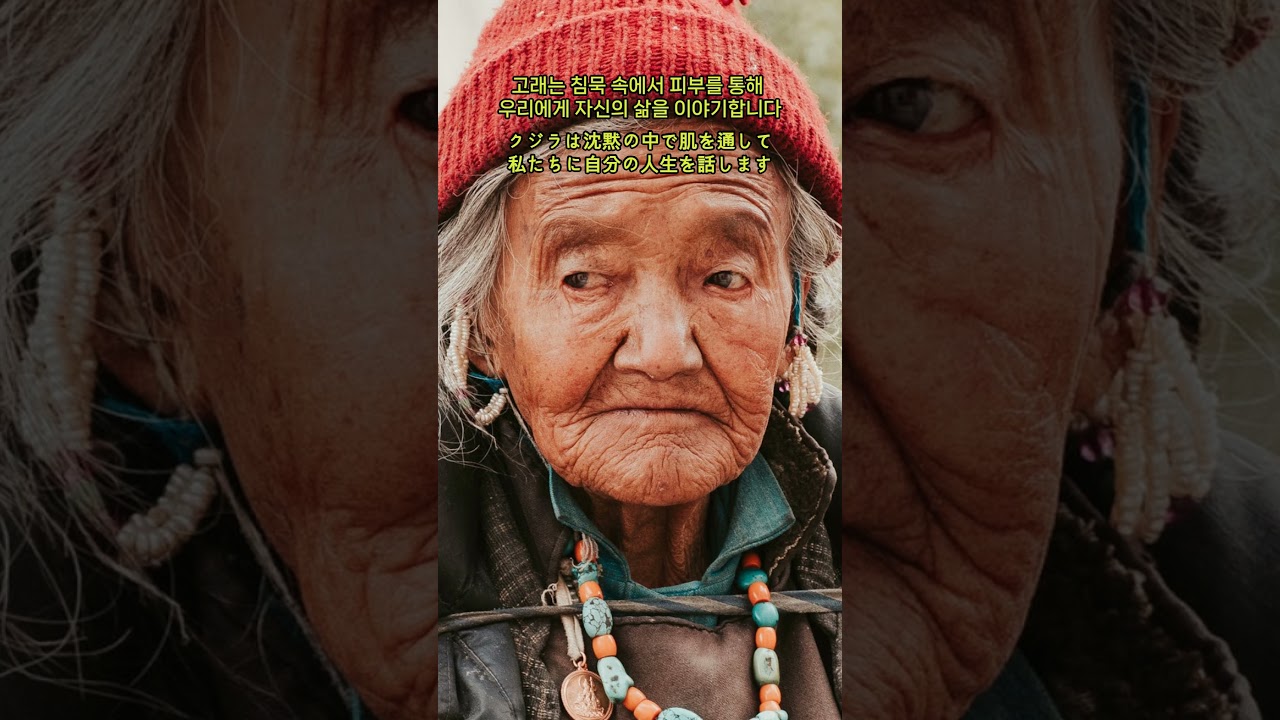 포경 | Explore Tumblr posts and blogs | Tumgik, image size:1280x720