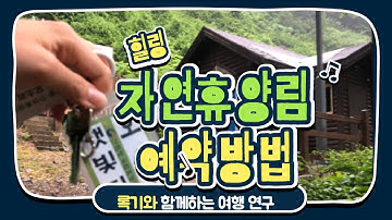 자연휴양림 예약 하기(코로나 시대 안전여행 가이드) 휴양림 장단점 feat #록기