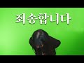 죄송합니다 죄송합니다