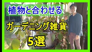 [ガーデニング] オシャレ感が上がる雑貨5選「古物商でもあるプロガーデナーがオススメする植物に似合う雑貨たち」