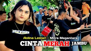 Aolina Lestari - CINTA MERAH JAMBU - versi dangdut koplo Mitra Megantara