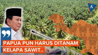 Prabowo Ingin Papua Ditanami Sawit