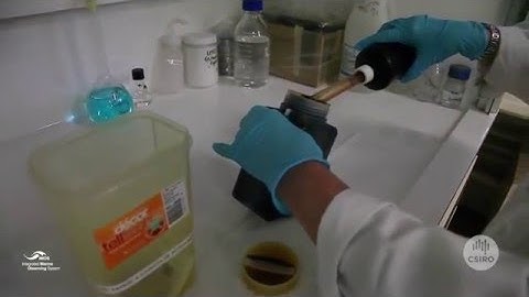 Protocol for IMOS microscopic phytoplankton sample collection