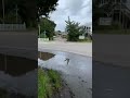 Walkaround: Back Road