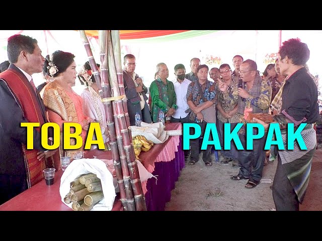 PERPADUAN ADAT BATAK PAKPAK DAN BATAK TOBA.. class=