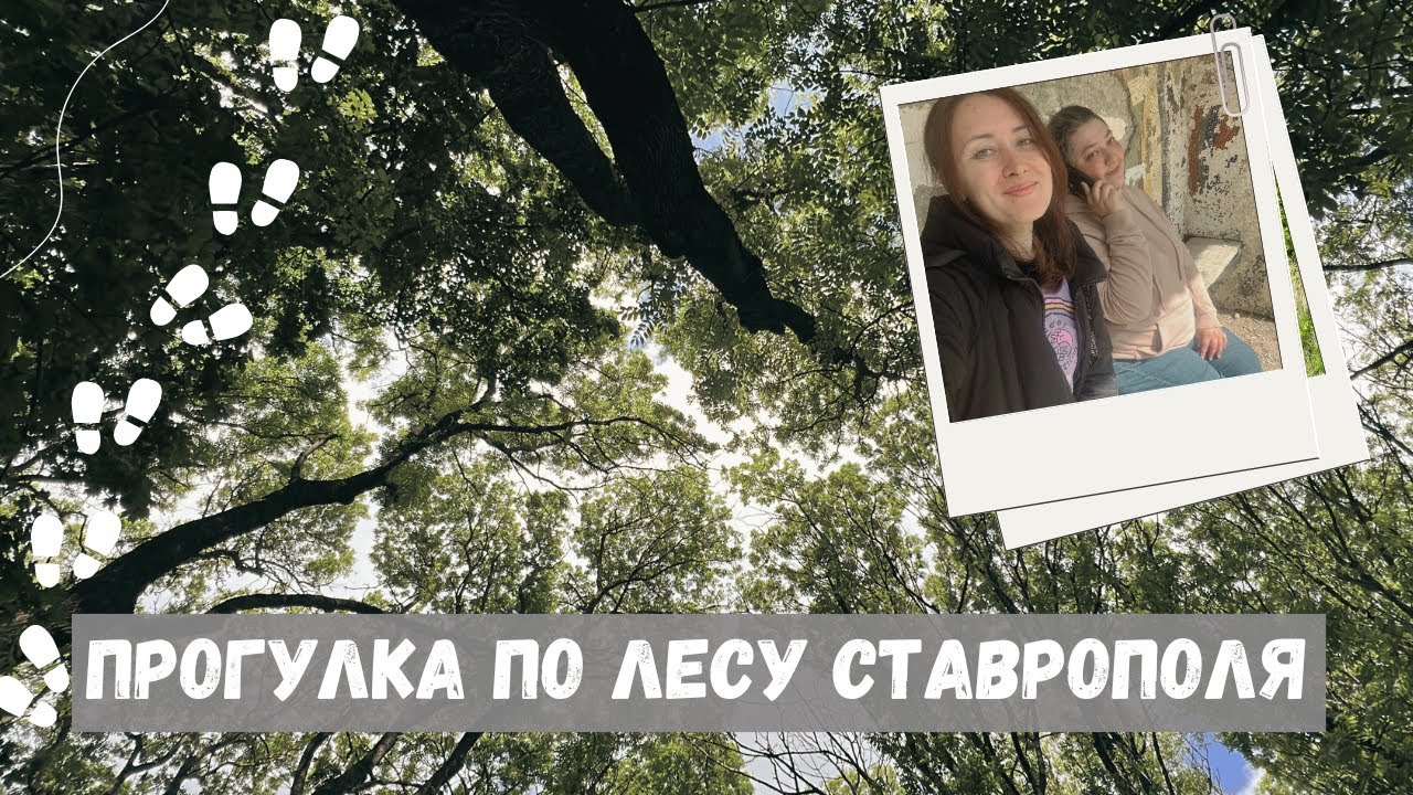 Забрели в лес в Ставрополе 🌳