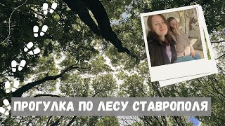 Забрели в лес в Ставрополе 🌳