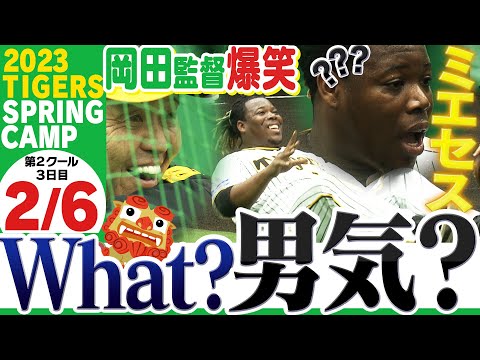 【2月6日沖縄キャンプ】ミエちゃん男気ワカラナ〜イ!勝ったのに何でトレーニングなの〜?ブルペンの心地いいミット音ASMRもどうぞ!阪神タイガース密着!応援番組「虎バン」ABCテレビ公式チャンネル