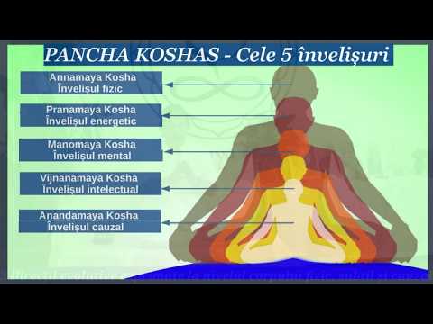 Despre cele 3 Direcții evolutive exprimate la nivelul corpului fizic, subtil și cauzal