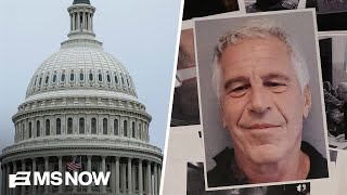 What questions Congress has for the guard on duty the night Epstein died